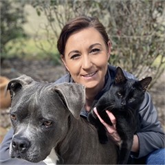 Amanda Danieletto headshot