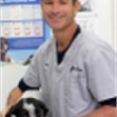 Craig Bailey headshot